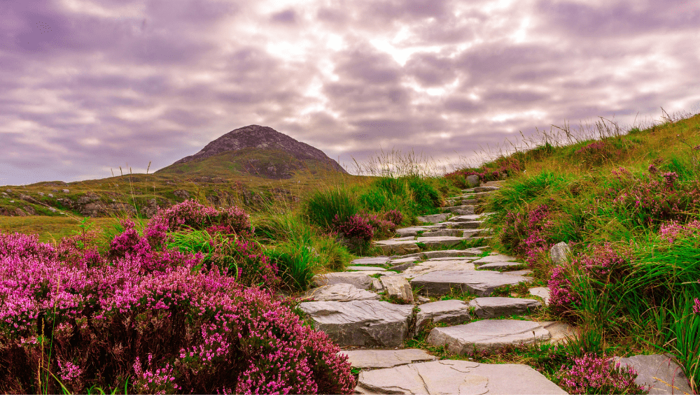 Landscapes of Ireland