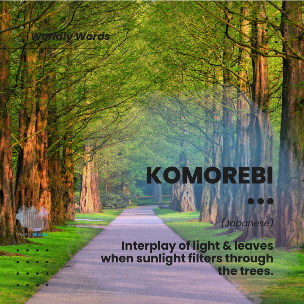 Komorebi Travel Words