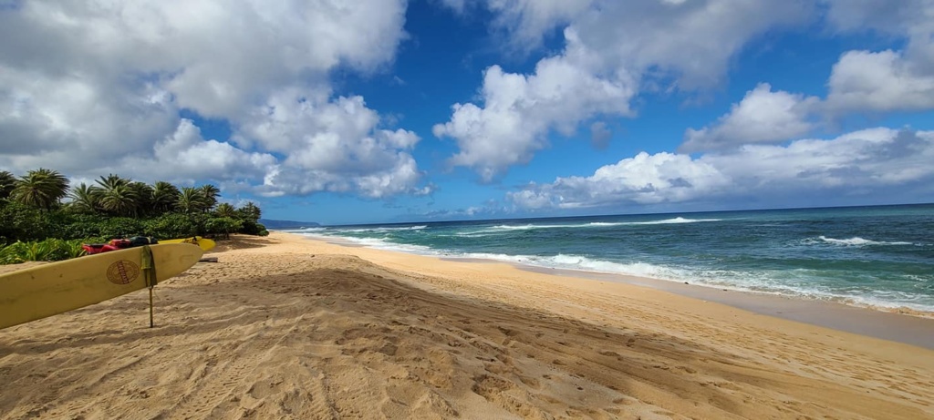 Honolulu Hawaii Beach