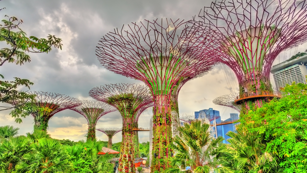 Singapore Southeast Asia Travel Guide