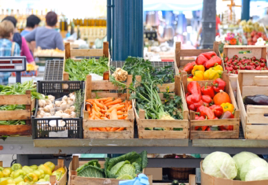 Local Markets US Cities